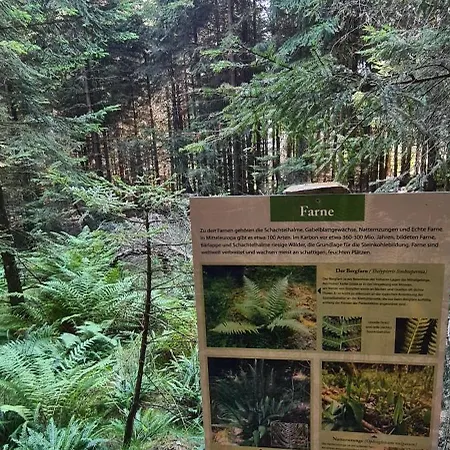 Haus Kellerwald - Kellerwald-edersee * Jesberg