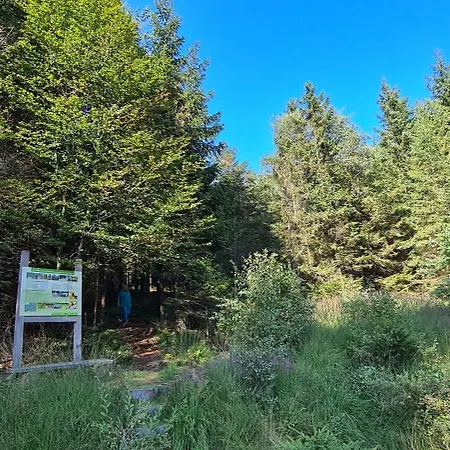 Haus Kellerwald - Kellerwald-edersee شقة