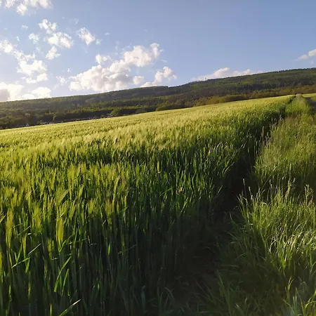 شقة Haus Kellerwald - Kellerwald-edersee