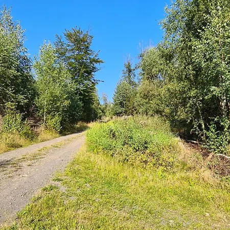 Haus Kellerwald - Kellerwald-edersee شقة *