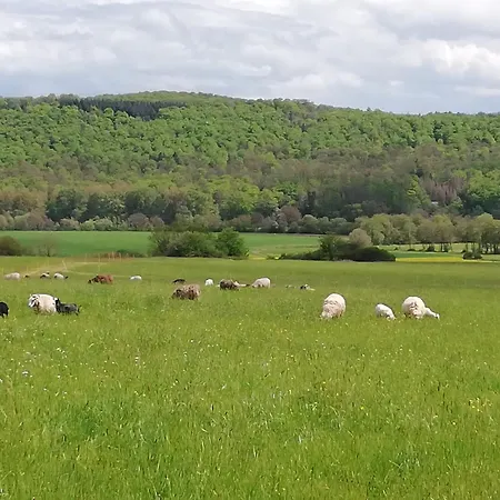 Haus Kellerwald - Kellerwald-edersee Jesberg