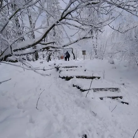 Haus Kellerwald - Kellerwald-edersee شقة