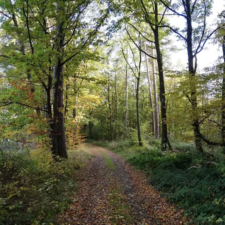 Haus Kellerwald - Kellerwald-edersee شقة *