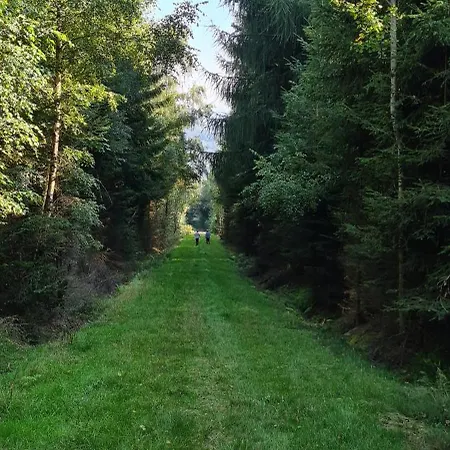 Haus Kellerwald - Kellerwald-edersee شقة *