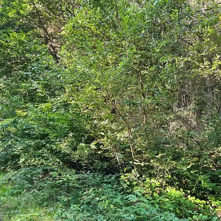 Haus Kellerwald - Kellerwald-edersee