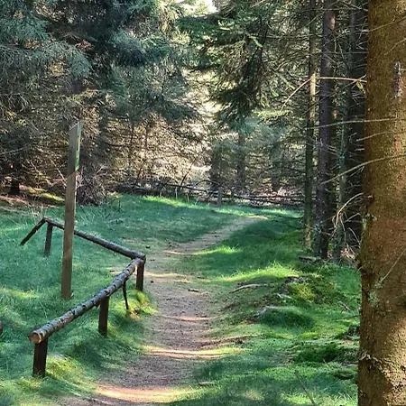 Haus Kellerwald - Kellerwald-edersee شقة