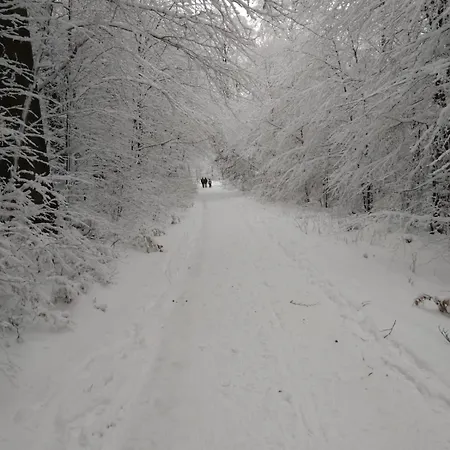 Haus Kellerwald - Kellerwald-edersee Jesberg